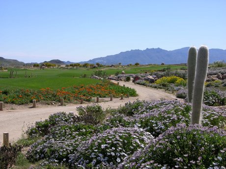 The Desert Springs Resort in Almeria