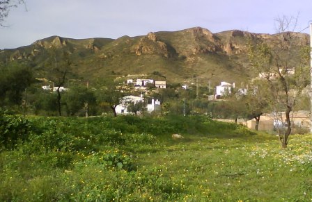 Los Pinos, Almeria Los Pinos, Almeria