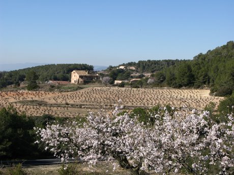 Spanish property hasn't lost its appeal