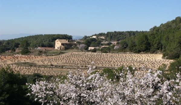 Rural Spanish property planning risks