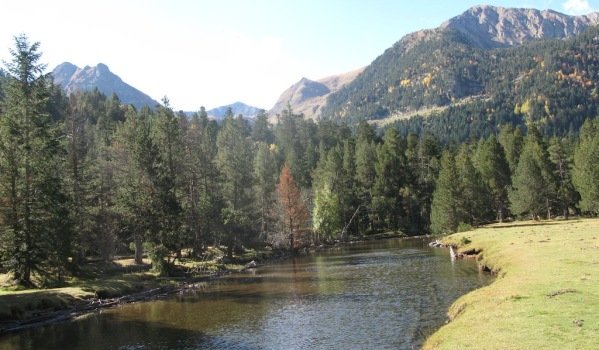 property in the Catalan Pyrenees, homes