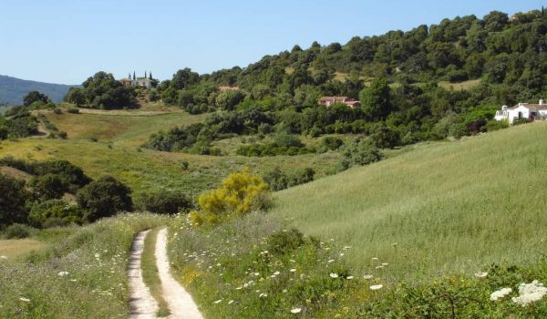 buying rural property in spain
