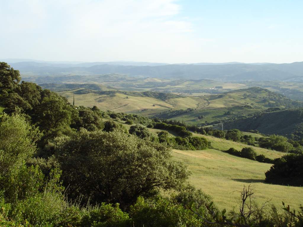 building on rural land in Andalusia
