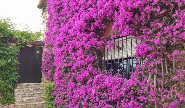 rental property regulations in begur