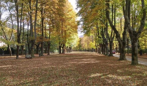 Passeig Maristany, Camprodon, Girona Province, Pyrenees.