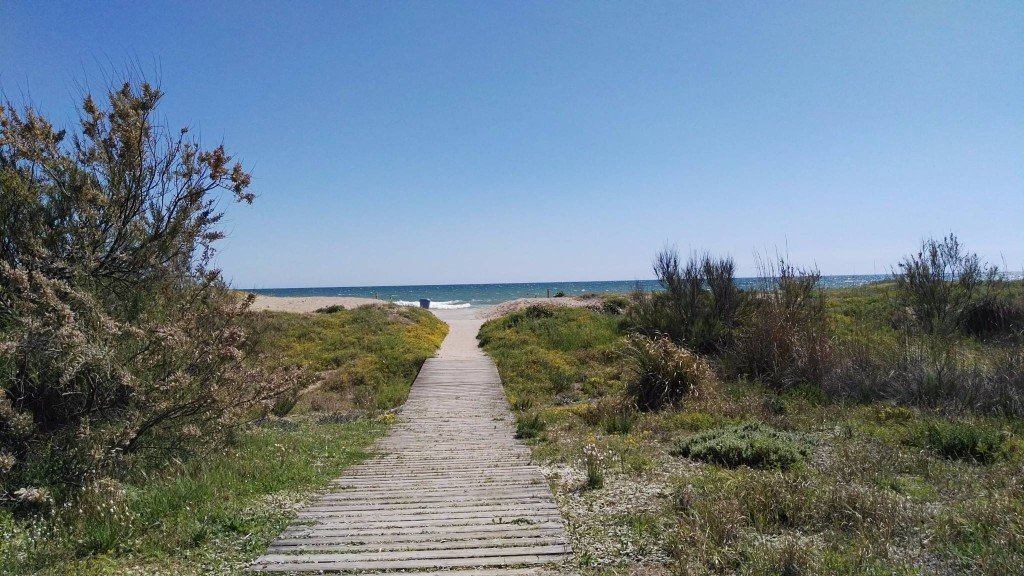 spanish ley de costas coastal law