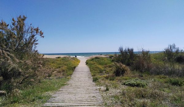 spanish ley de costas coastal law