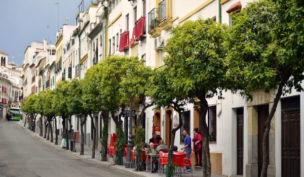 Lined lined street in Cordoba