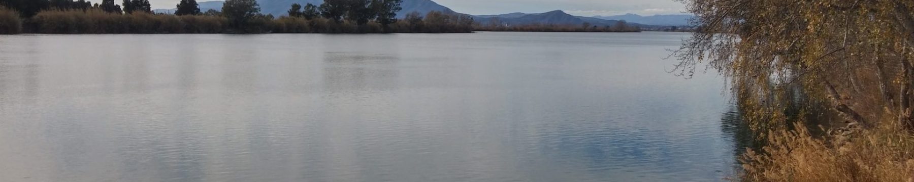 costa dorada property market