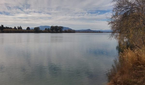 costa dorada property market